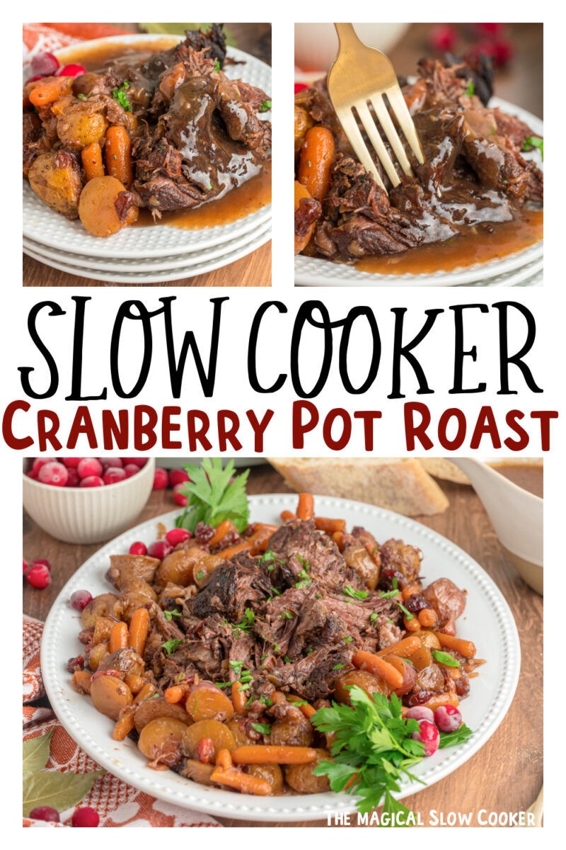 Slow Cooker Cranberry Onion Pot Roast - Mountain Mama Cooks